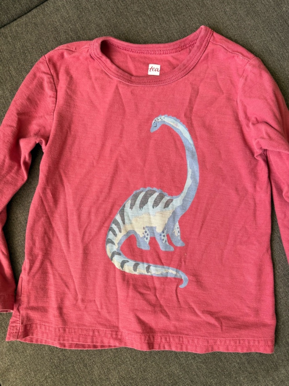 Tea Collection Long-Sleeve Dinosaur Tee